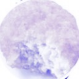 Synaptic